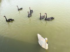 -南大港湿地风景区