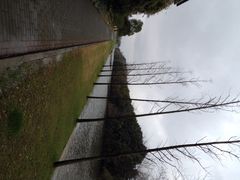 iphone_upload_pic-上海怡沁园度假酒店