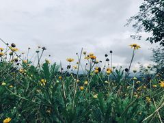 -远山有窑