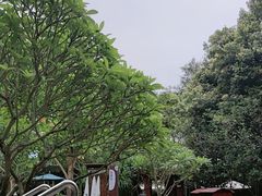 -碧水湾温泉