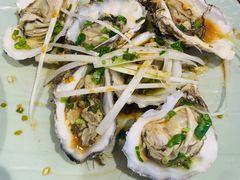 鲜活生蚝-盒马鲜生(帝斯曼店)