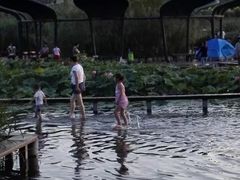 -永定河休闲森林公园