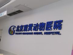 -北京观赏动物医院·24小时大型综合·猫专科·异宠专科