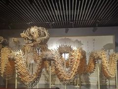 -九江市博物馆