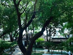 -苏州丝绸博物馆
