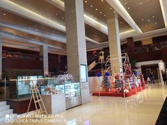 -苏州金鸡湖大酒店