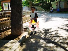-富斯特索道