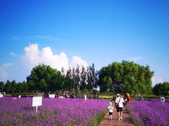 -渔岛海洋度假区