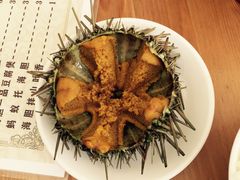 -海胆小馆(东北水饺·春柳店)