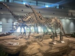 -自贡恐龙博物馆