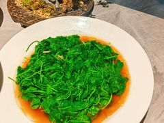 -权茂上海菜(殷行路店)