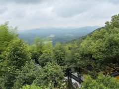 -莫干山风景区