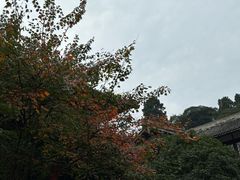 -都江堰普照寺