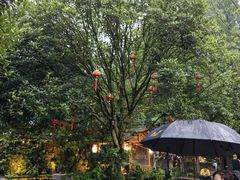 -青城甲(青城山店)