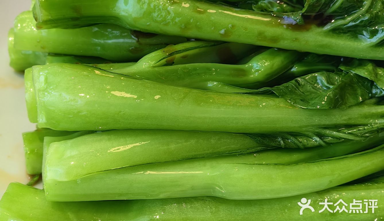 中午美食打卡:港式早茶