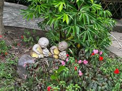 -中国科学院西双版纳热带植物园