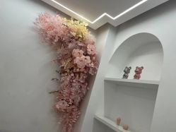 -苗方清颜痘肌研究所