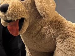 -宜家家居(四元桥商场店)