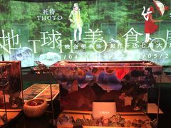 -地球美食剧场
