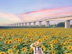 -光明小镇欢乐田园