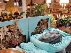 -小时光咖啡馆(北锣鼓巷店)
