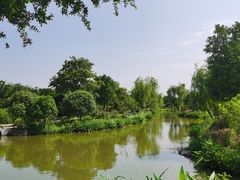 -鹅湖玫瑰文化园