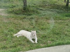 -上海野生动物园