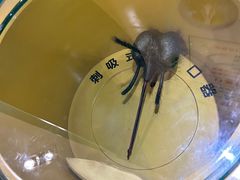 -上海昆虫博物馆