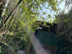 -横琴公社餐厅