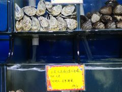 水产区-蚝专家(北滘店)