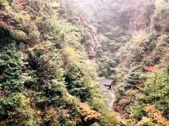 -浙西大峡谷