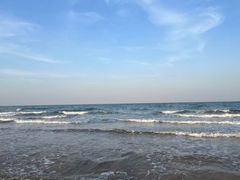 -渡海小渔村.老辈日照菜