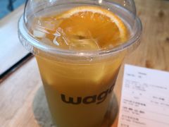 -Wagas沃歌斯(大学路店)