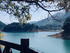 -广州市流溪河国家森林公园