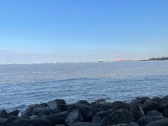 -上海吴淞炮台湾国家湿地公园