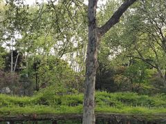 -西安市长乐公园