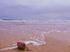 -青岛银沙滩