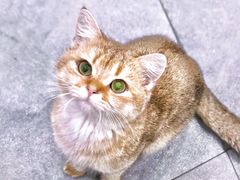 -极木²邸 人与宠物·互动社区