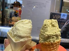 -野人先生现做冰淇淋(西安赛格店)