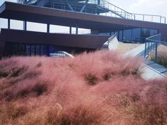 -下渚湖国家湿地公园科普馆