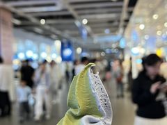 地球色抹茶椰子冰淇淋-宜家·瑞典风味餐厅(烟台路店)