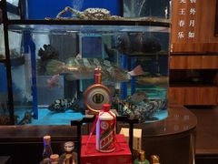 -钟菜·粤菜点心·宴请(海上世界·汇港二期店)