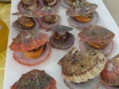 -老青岛海味当家菜馆(银鱼巷店)