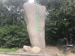 -溱湖国家湿地公园