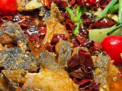 -老板恋上鱼(恒隆广场店)