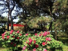 -国家植物园南园