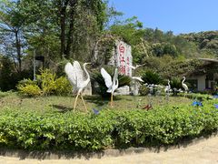 -广州白江湖森林公园