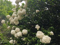 -杭州电子科技大学(下沙校区)