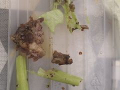 -新鲜誌·新派食集(万象天地店)