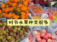 -顺鑫石门市场